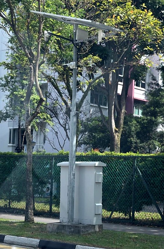 Collapsible Pole